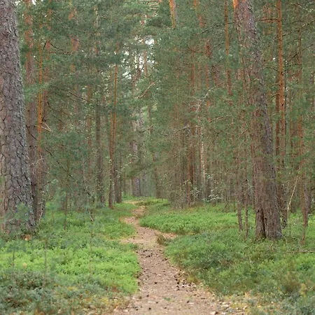 Merela In Centre Võsu